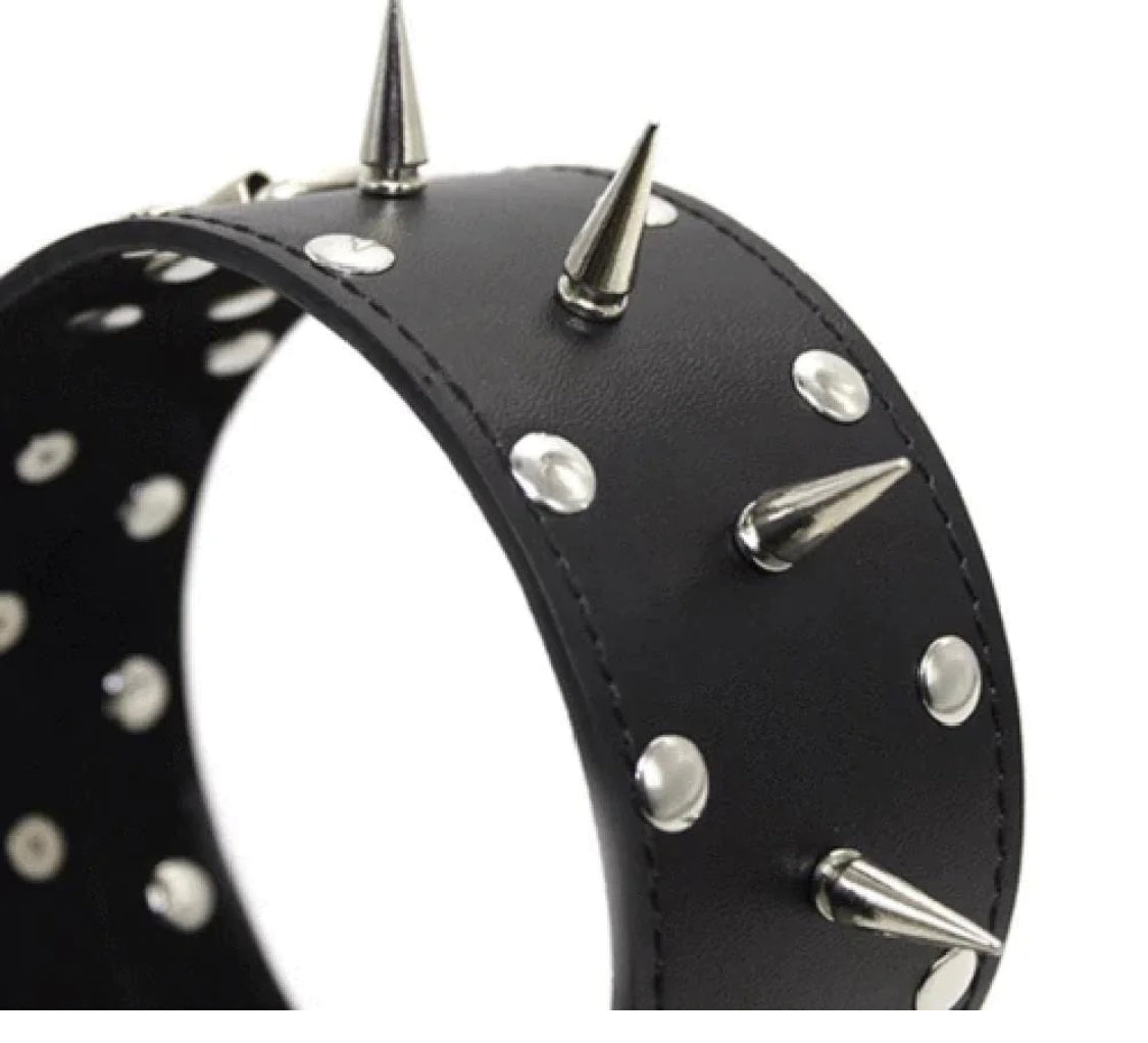 Spiked Leash With Lock