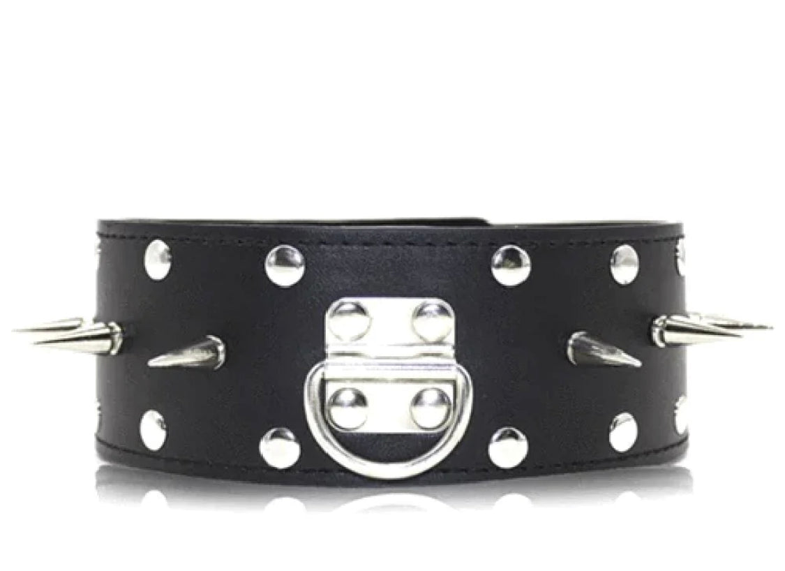 Spiked Leash With Lock