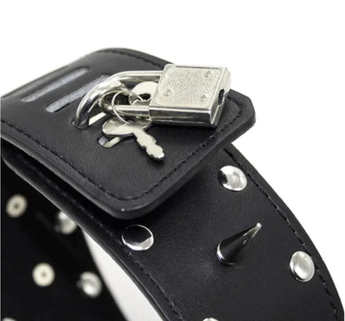 Spiked Leash With Lock