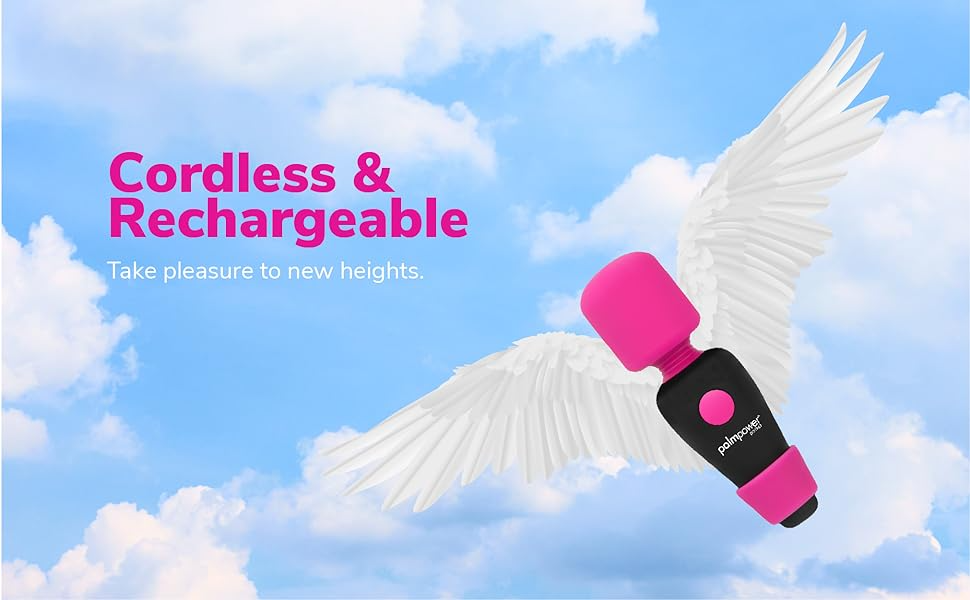 PalmPower Pocket Multifunction Vibrating Massager